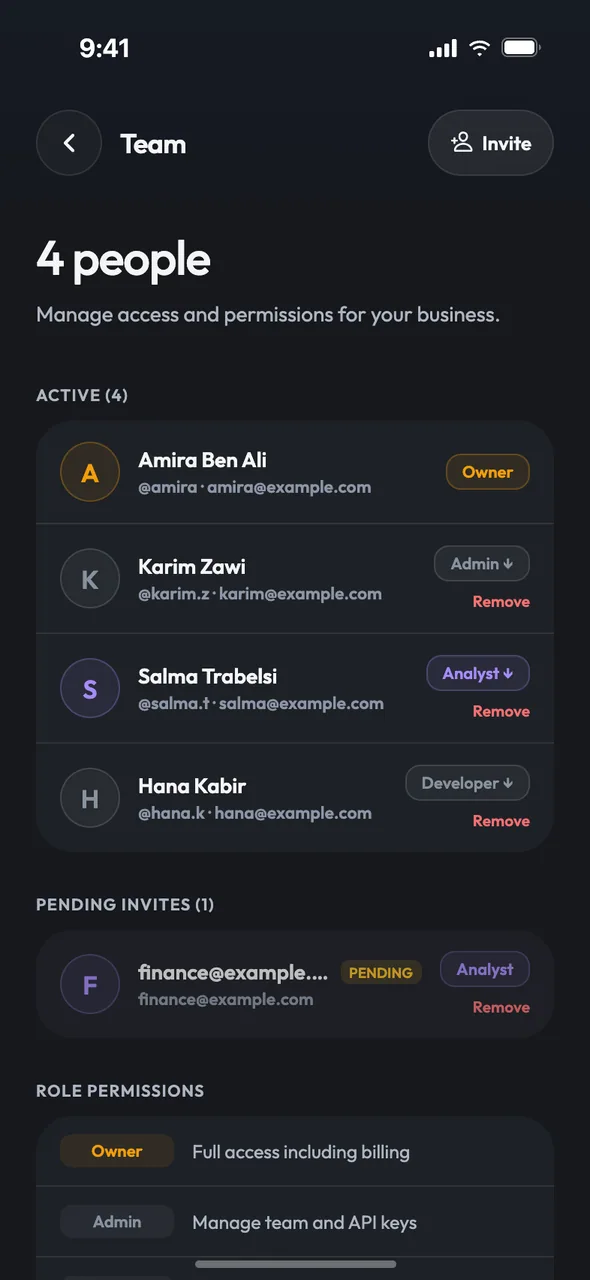 Team screen listing members, their roles and pending invitations